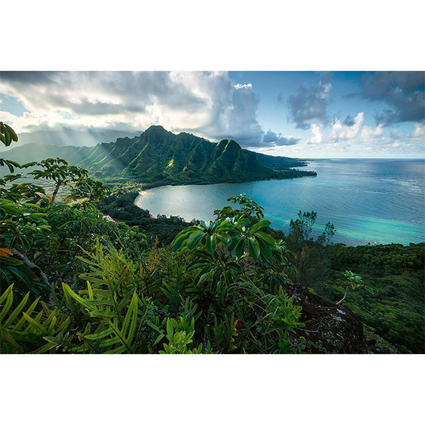 پازل 5000 قطعه رونزبرگر طرح نمایی از هاوایی